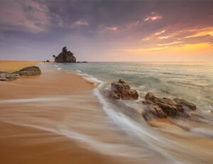 东京奥运会篮球比赛或改为无观众模式：变革下的机遇与惊喜